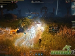 black-desert-online-critical