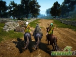 black-desert-online-horses