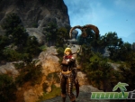black-desert-online-pets