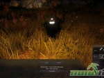 black-desert-online-price