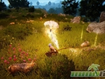 black-desert-online-witch
