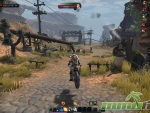 Black-Gold-Online-mount