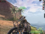 Black-Gold-Online-palm-tree