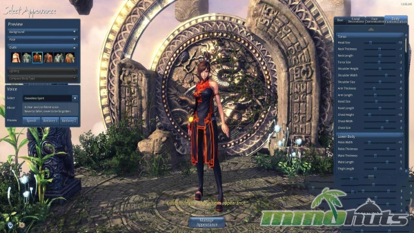 blade-and-soul-body-customization
