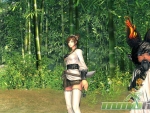blade-and-soul-bamboo-forest