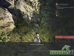 bless-unleashed-quest-reward