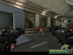 born-to-fire-dual-guns