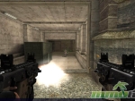 born-to-fire-dual-shooting