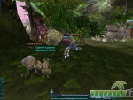 Bounty-Hounds-Online-Image