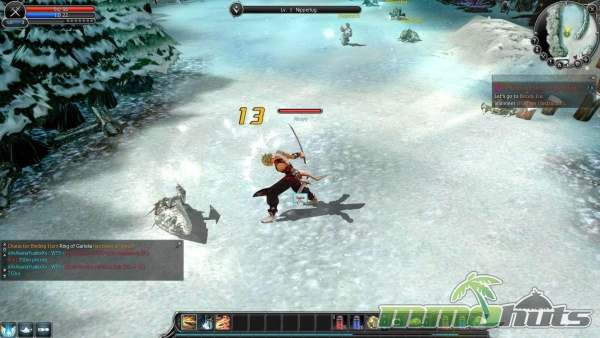 cabal-online-auto-loot