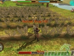 Celtic-Heroes-grain