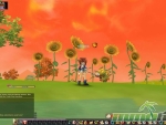 cloud-nine-sunflowers