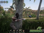 conan-exiles-trees