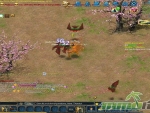 Conquer-Online-50-dmg