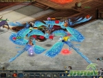 Conquer-Online-Facing