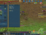 Conquer-Online-Lvl-33-tao