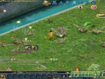 Conquer-Online-battle-Birds