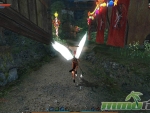 C9-MMORPG