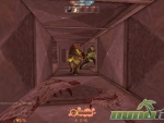Counter-Strike-Nexon-Vent