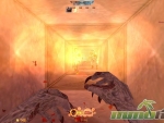 Counter-Strike-Nexon-Zombie-hands