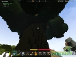 creativerse-elderwood