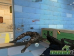 CrossFire-killcam
