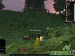 Dark-Age-of-Camelot-albion-sergeant