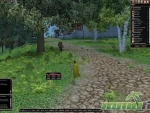 Dark-Age-of-Camelot-follow