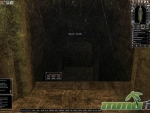 Dark-Age-of-Camelot-muire-tomb