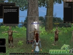 Dark-Age-of-Camelot-standard