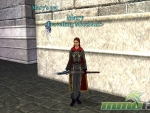 Dark-Age-of-Camelot-travelling-merchant