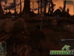 darkfall-rise-of-agon-flame