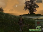 darkfall-rise-of-agon-tree