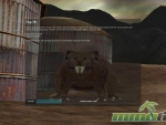 darkwind-war-on-wheels-the-pit