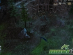 dawn-of-fantasy-kingdom-wars-screenshot-review