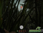 day-of-infamy-grass