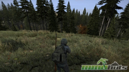 DayZ-aiming