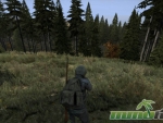 DayZ-aiming
