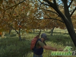 DayZ-apple-tree