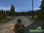 DayZ-forest