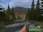 DayZ-gun