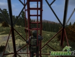 DayZ-ladder-climbing