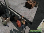 DayZ-ladder