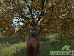 DayZ-search-for-apples