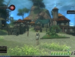 Dungeons-and-Dragons-Online-Town