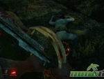 dead-by-daylight-down