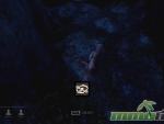 dead-by-daylight-trap