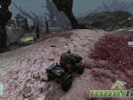 Defiance-bushes-travel