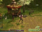 Dekaron-Hut