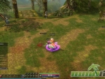 Dekaron-Looting-Items